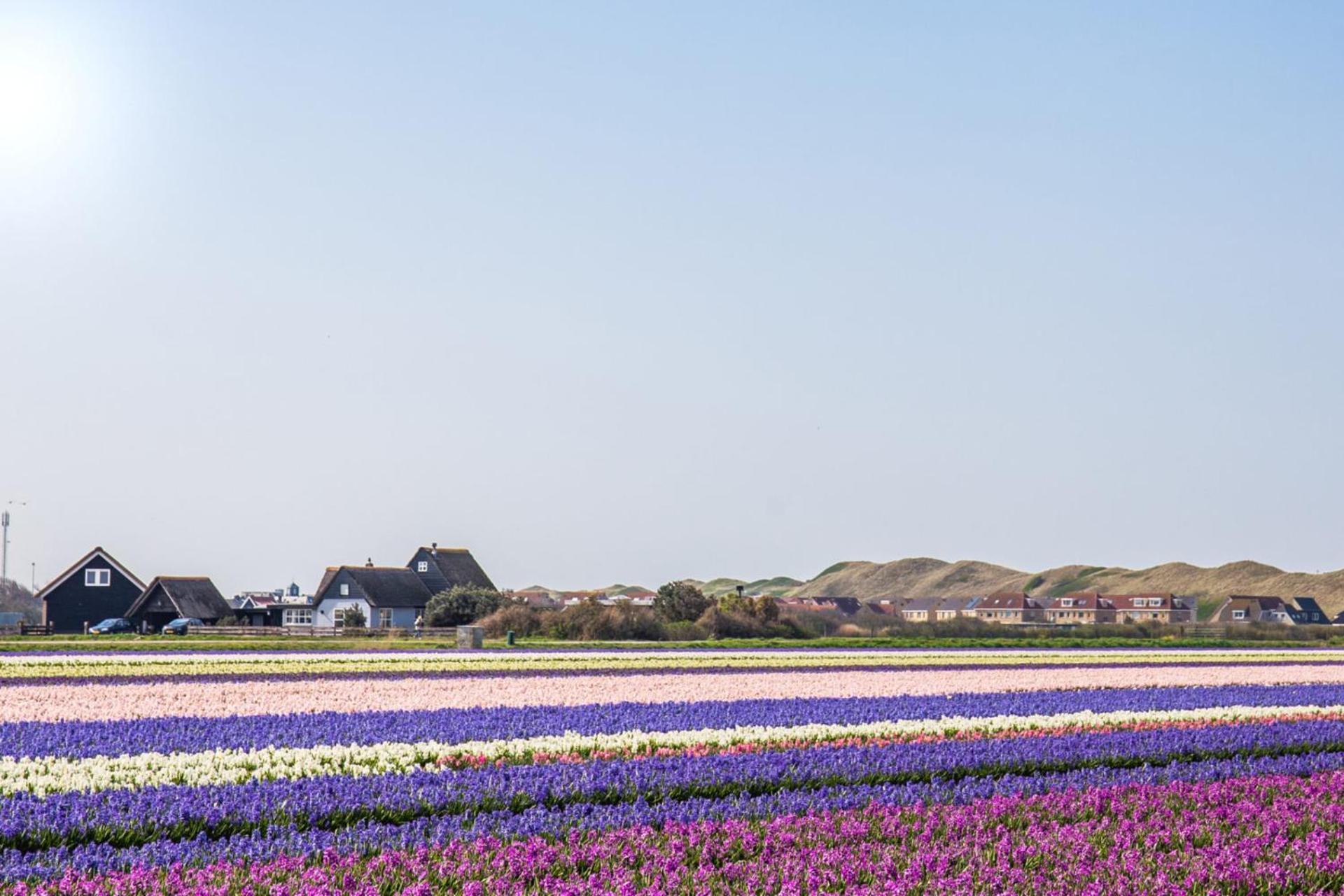 Vakantiehuis Nordseezauber - Callantsoog Aan Zee Екстер'єр фото